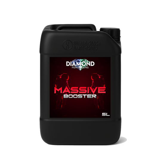 MASSIVE BOOSTER 5L